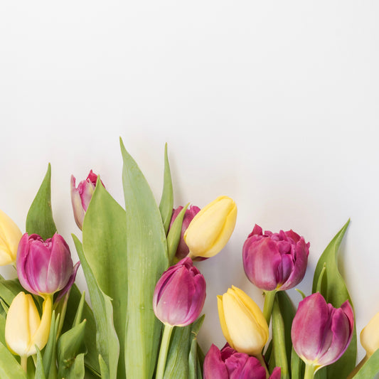 Spring Grief