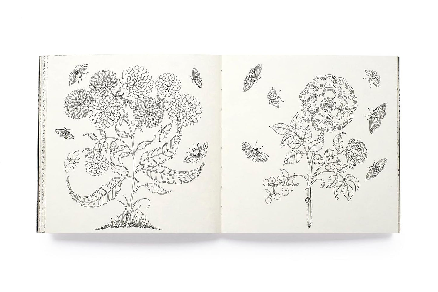 Miniature Secret Garden Coloring Book