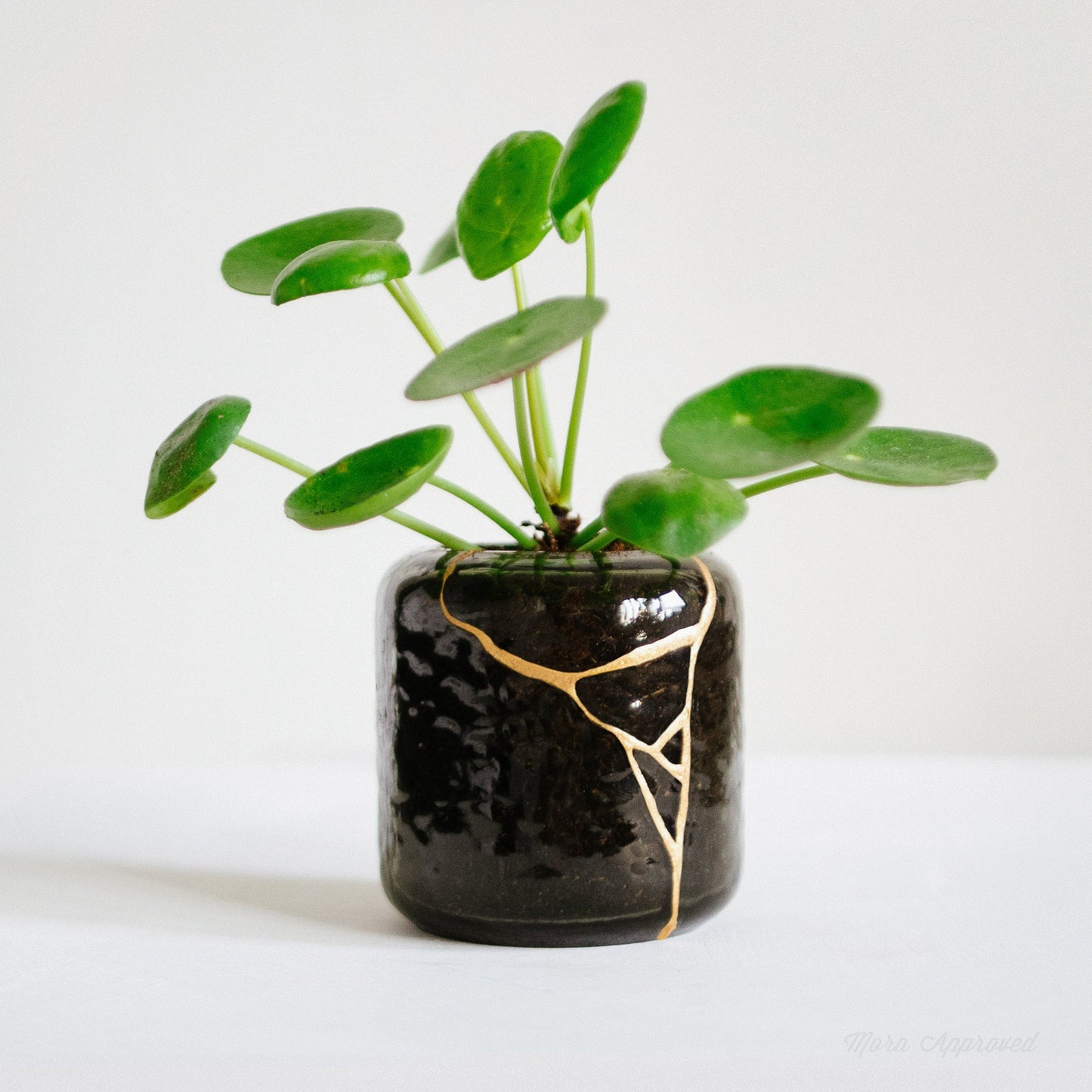 Kintsugi Kit