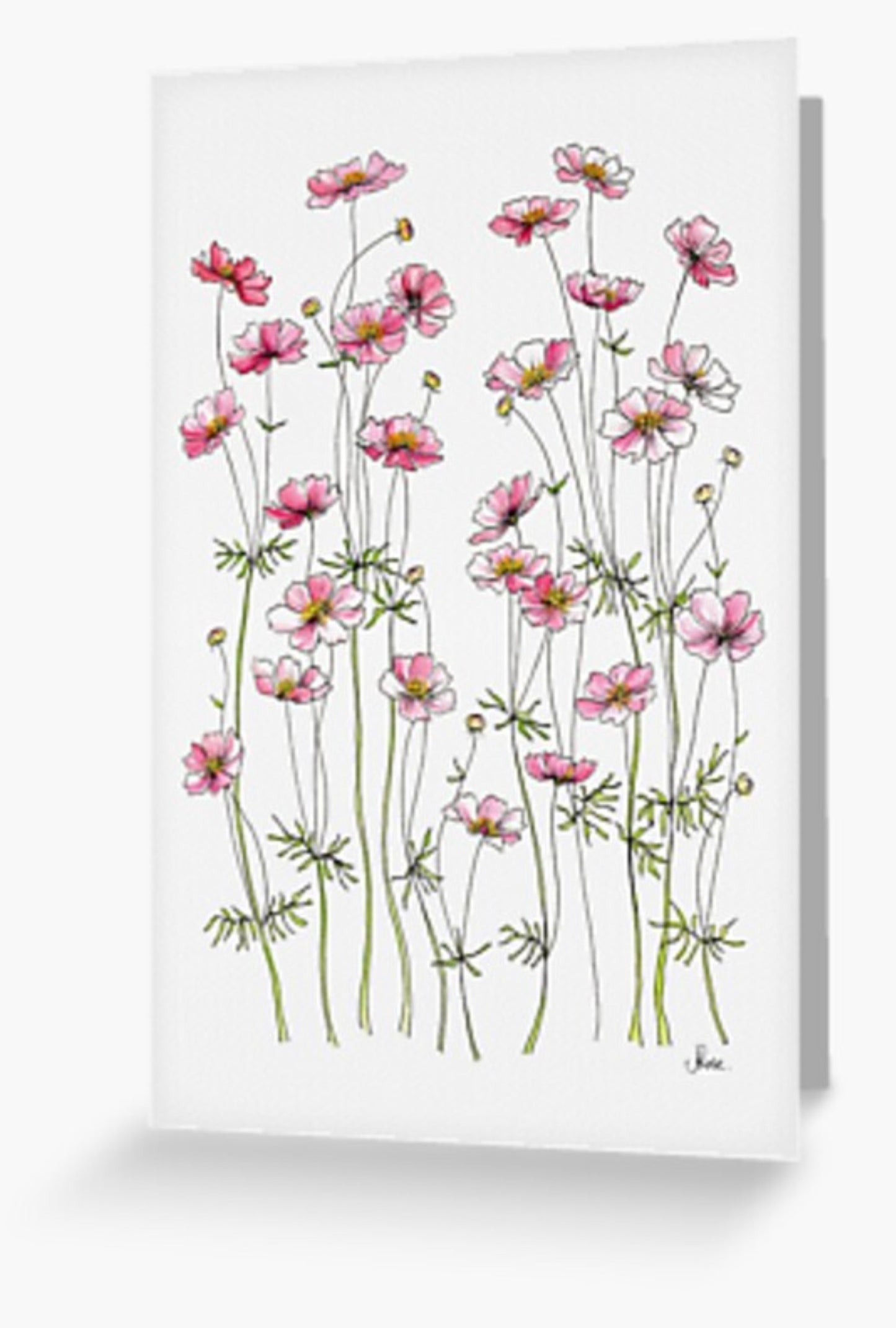 Blank Pink Cosmos Card