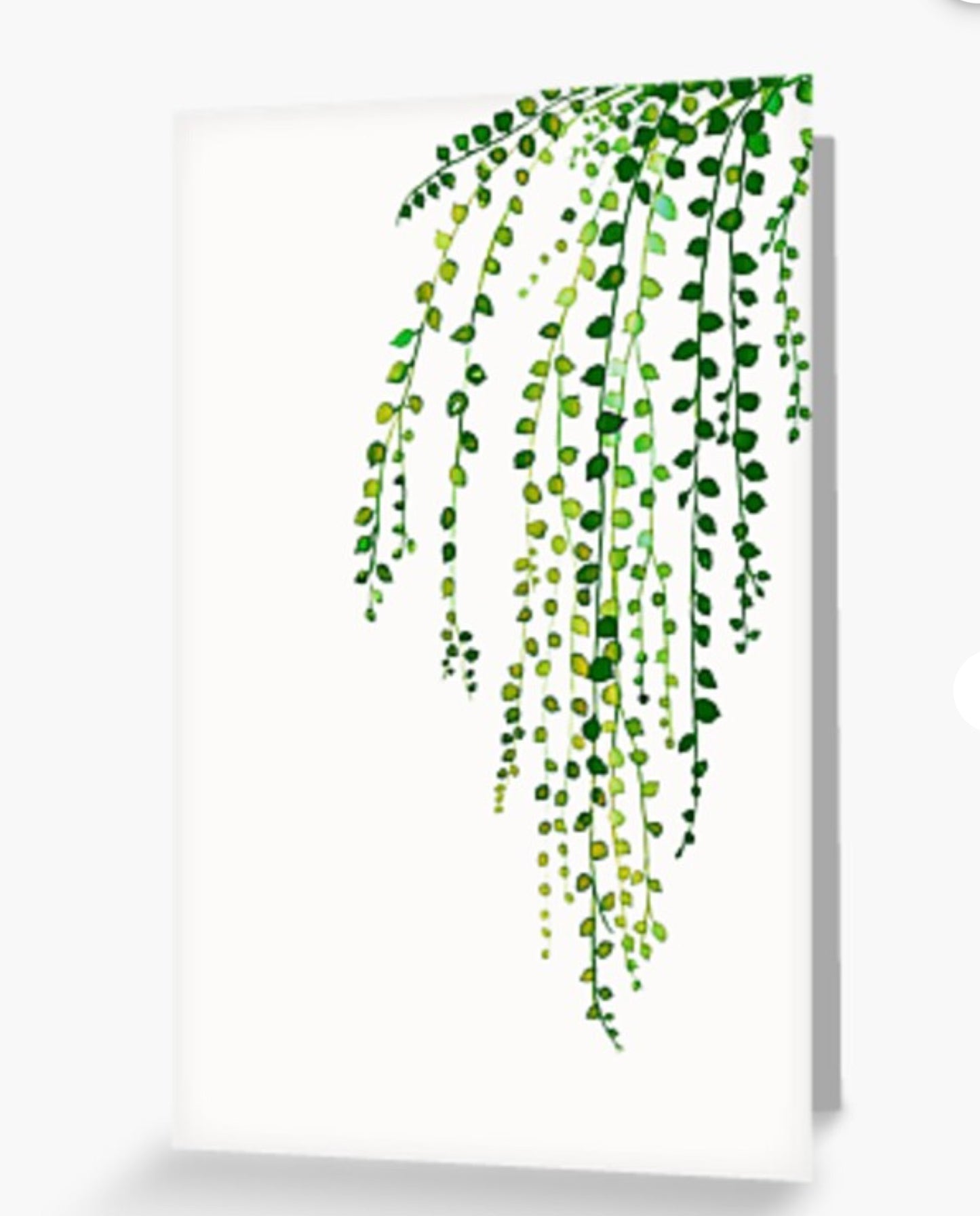 Blank Green Pearls Card