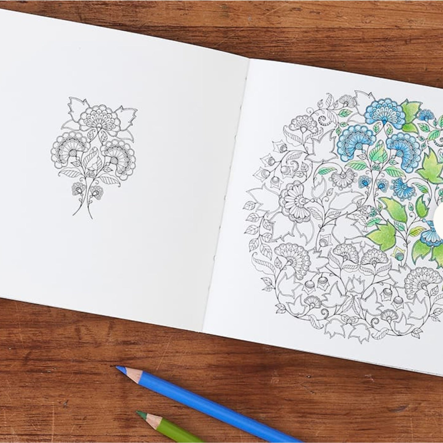 Miniature Secret Garden Coloring Book