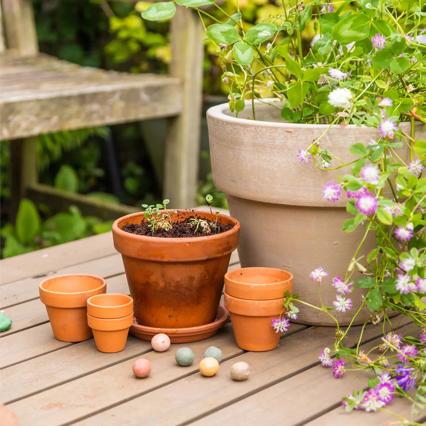 Potted plants on a wooden table with a garden background