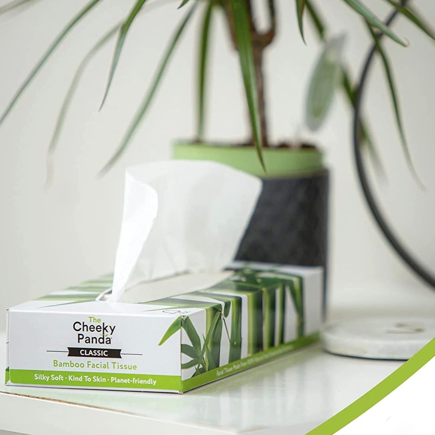 Tree Free Tissues — Flat Box