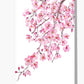 Blank Cherry Blossom