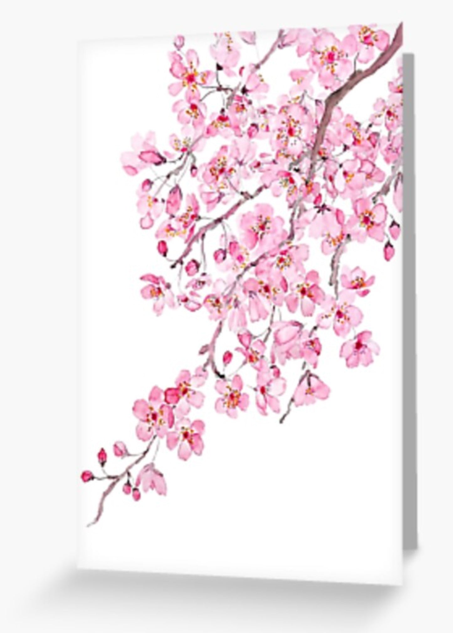 Blank Cherry Blossom