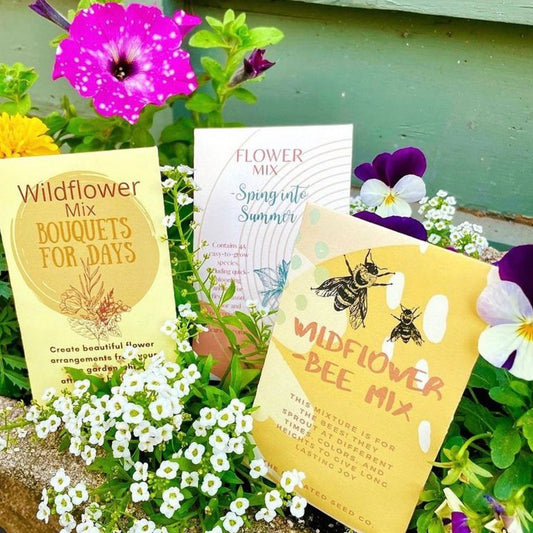 Regional Wildflower Seeds