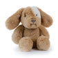 Plush Animals