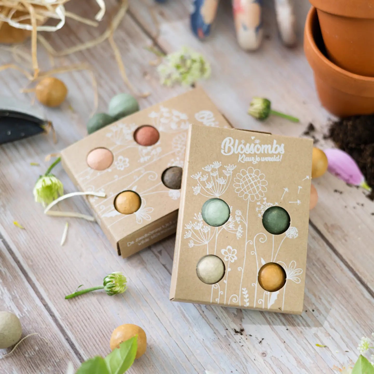 Two cardboard boxes with colorful buttons on a wooden surface with plants and pots.
