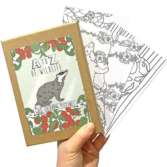 Boxed Set Coloring Cards